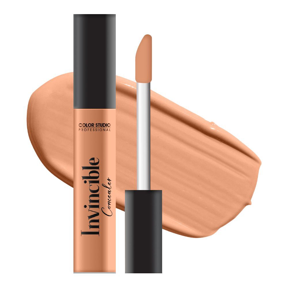 Color Studio Invincible Concealer Brown 10
