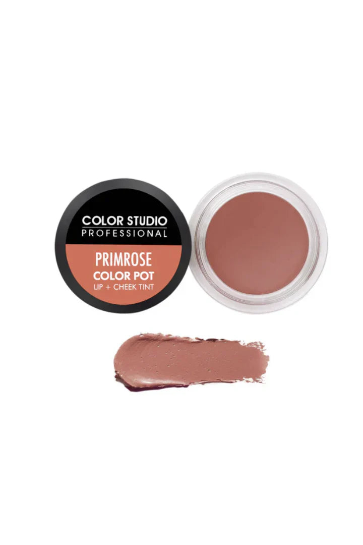 Color Studio Lip & Cheek Tint Color Pot