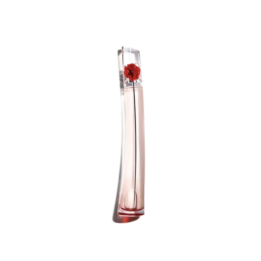 LAbsolue EDP