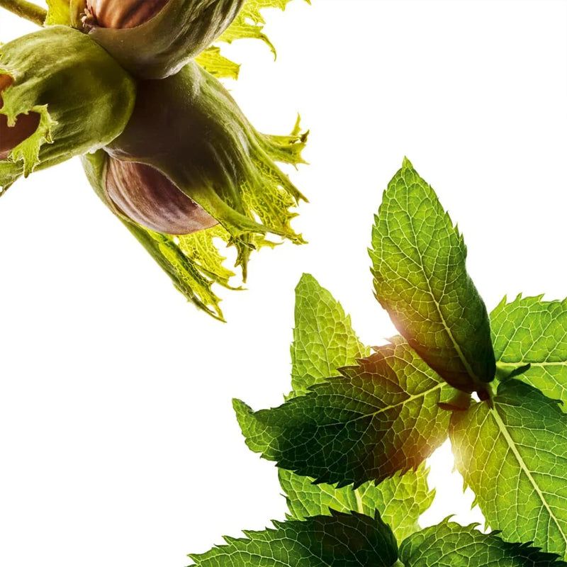 Tonic Treatment Oil