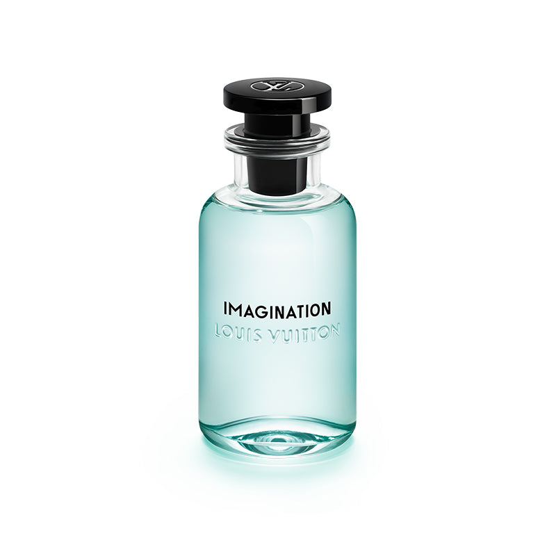 Imagination EDP