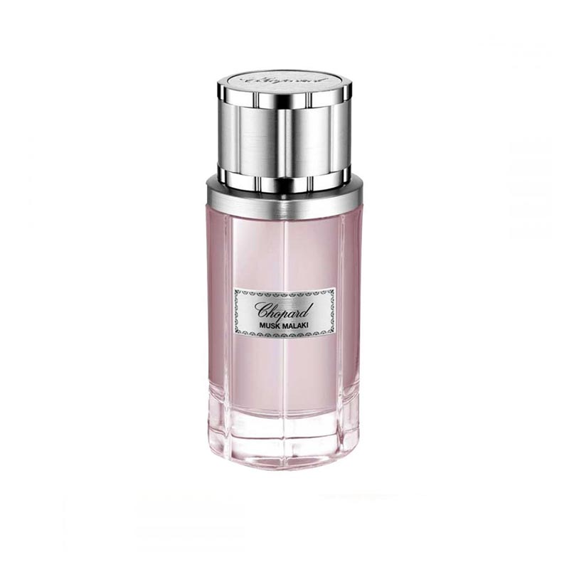 Musk Malaki EDP