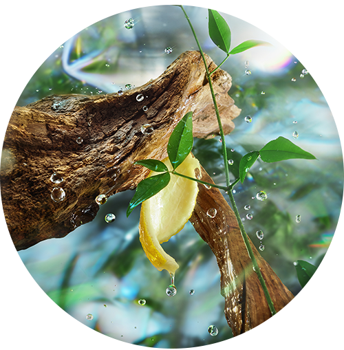 Scents_01.png__PID:f5bde968-248f-49d5-8cff-2c10dd06cb16