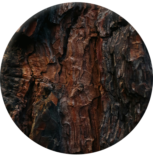 Woody